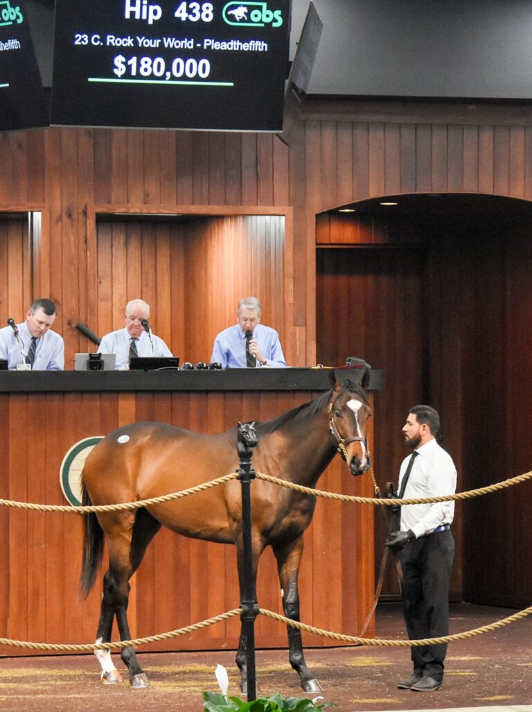 $180,000 colt at '25 OBSMAR | Purchased by Pedro Lanz, Agent for KAS Stables | Judit Seipert photo