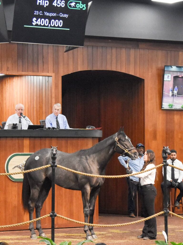 $400,000 at '25 OBSMAR | Colt o/o Quay breezed 9.4 | Purchased by C J Stables | Judit Seipert photo