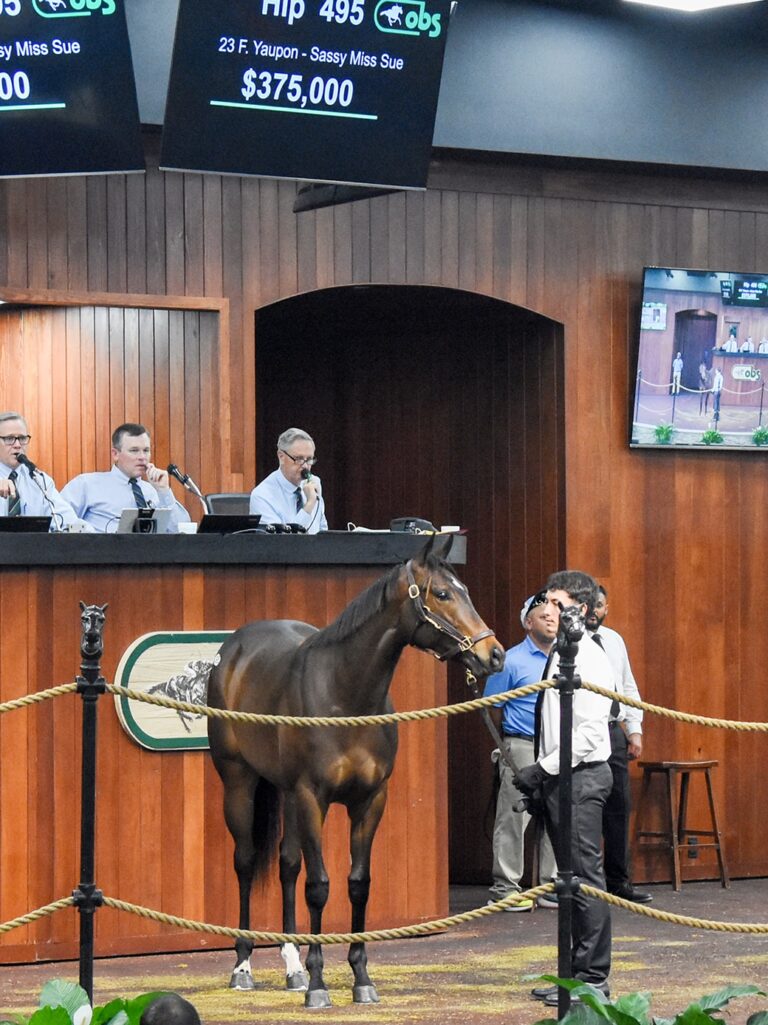 $375,000 at '25 OBSMAR | Filly o/o Sassy Miss Sue breezed 9.4 | Purchased by Carolyn Wilson | Judit Seipert photo
