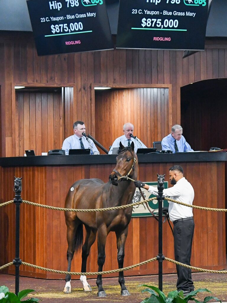$875,000 at '25 OBSMAR | Colt o/o Blue Grass Mary breezed 20.3 | Purchased by Spendthrift, West Point, Schurman, CJ Stables | Judit Seipert photo