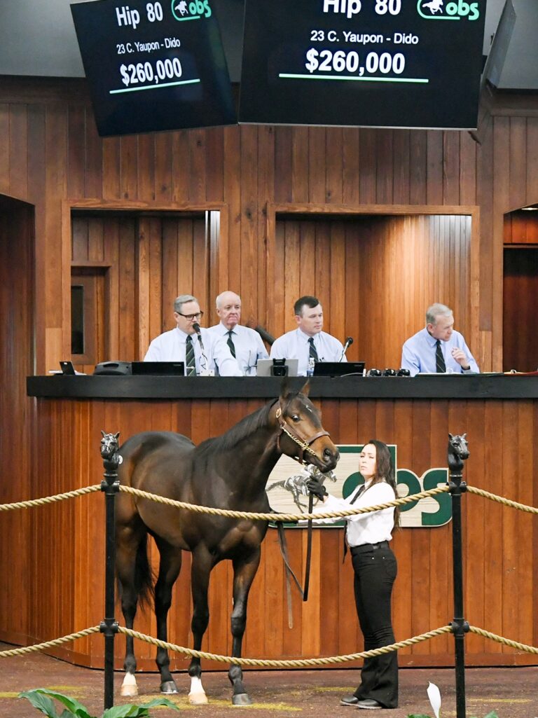 $260,000 at '25 OBSMAR | Colt o/o Dido | Purchased by Muir Hut Stables | Judit Seipert photo