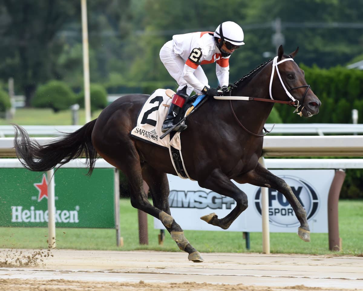 Yaupon | 2020 Amsterdam-G2 at Saratoga | NYRA photo