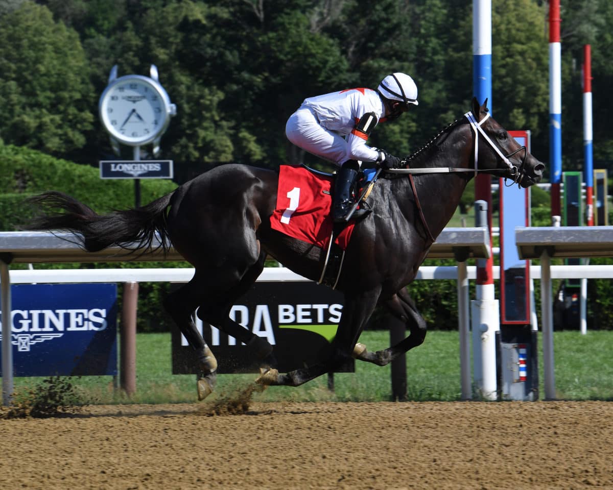 Yaupon | 2020 at Saratoga | NYRA photo