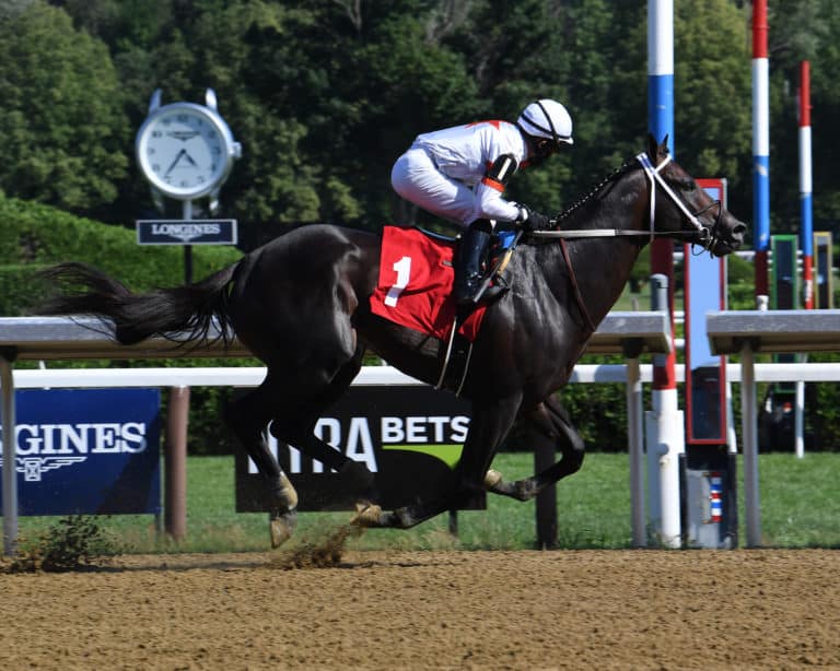 Yaupon | 2020 at Saratoga | NYRA photo