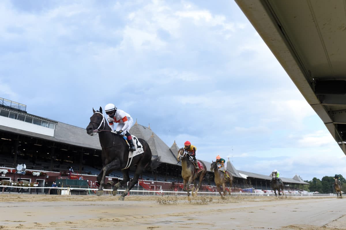 Yaupon | 2020 Amsterdam-G2 at Saratoga | NYRA photo