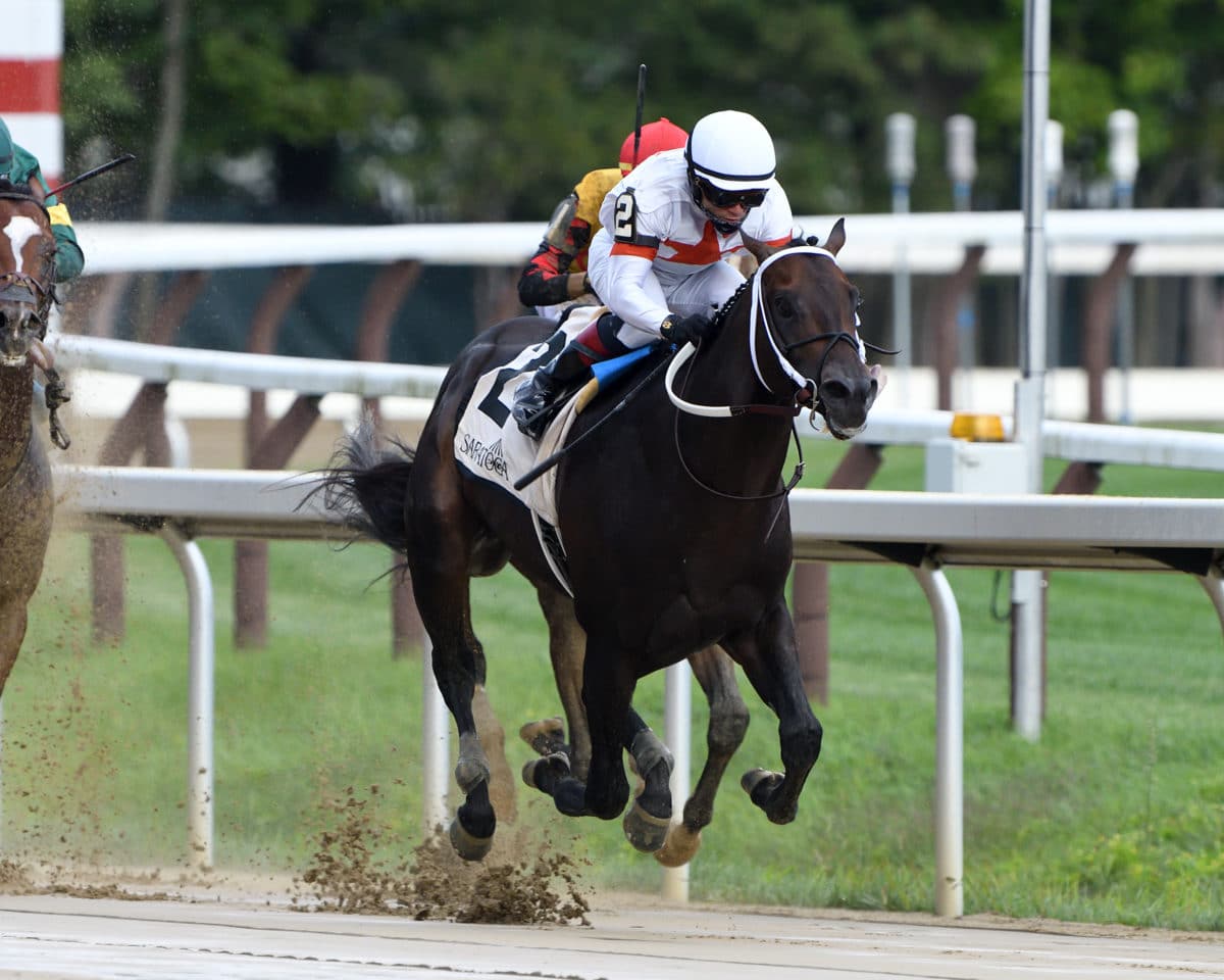 Yaupon | 2020 Amsterdam-G2 at Saratoga | NYRA photo