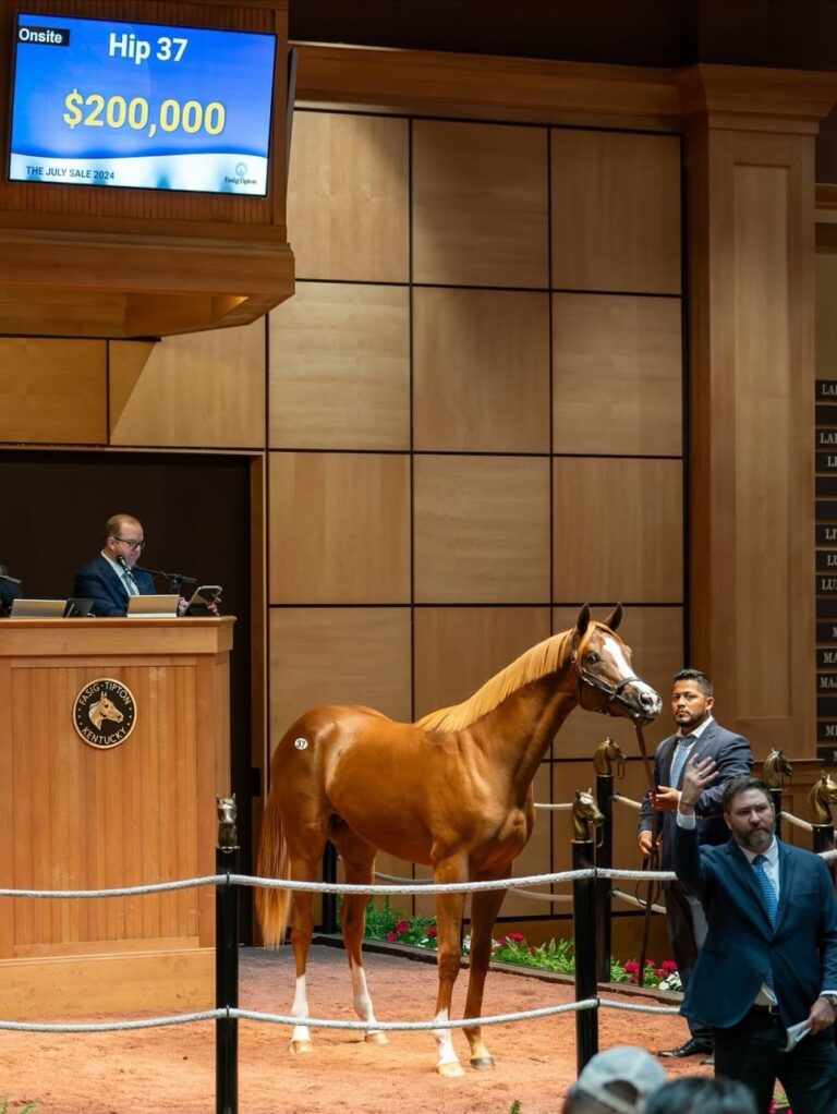 $200,000 at '24 F-T July | Colt o/o Hottestthingintown | Purchased by CJ Stables | Nicole Finch photo