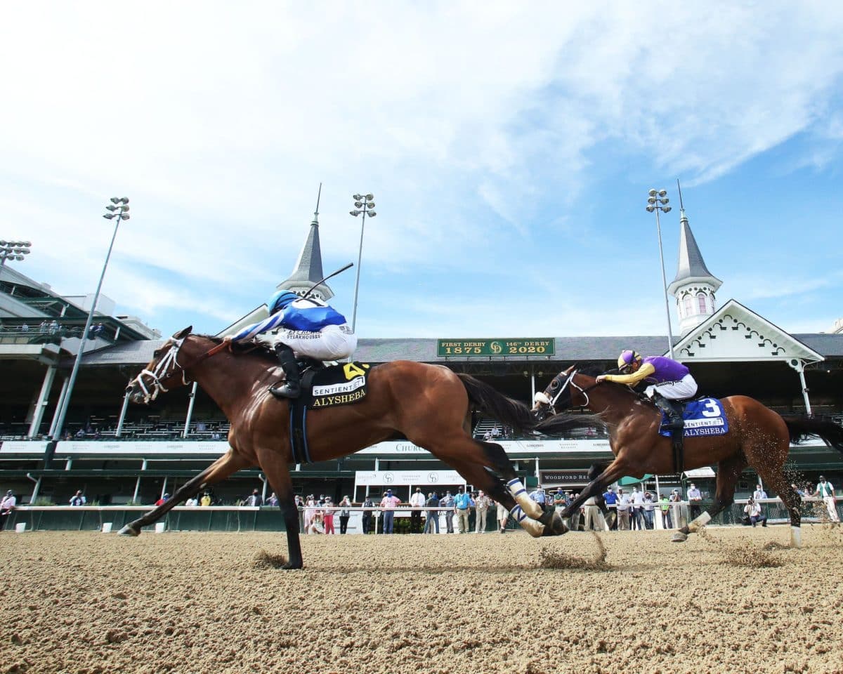 By My Standards | 2020 Alysheba G2 | Coady Photography