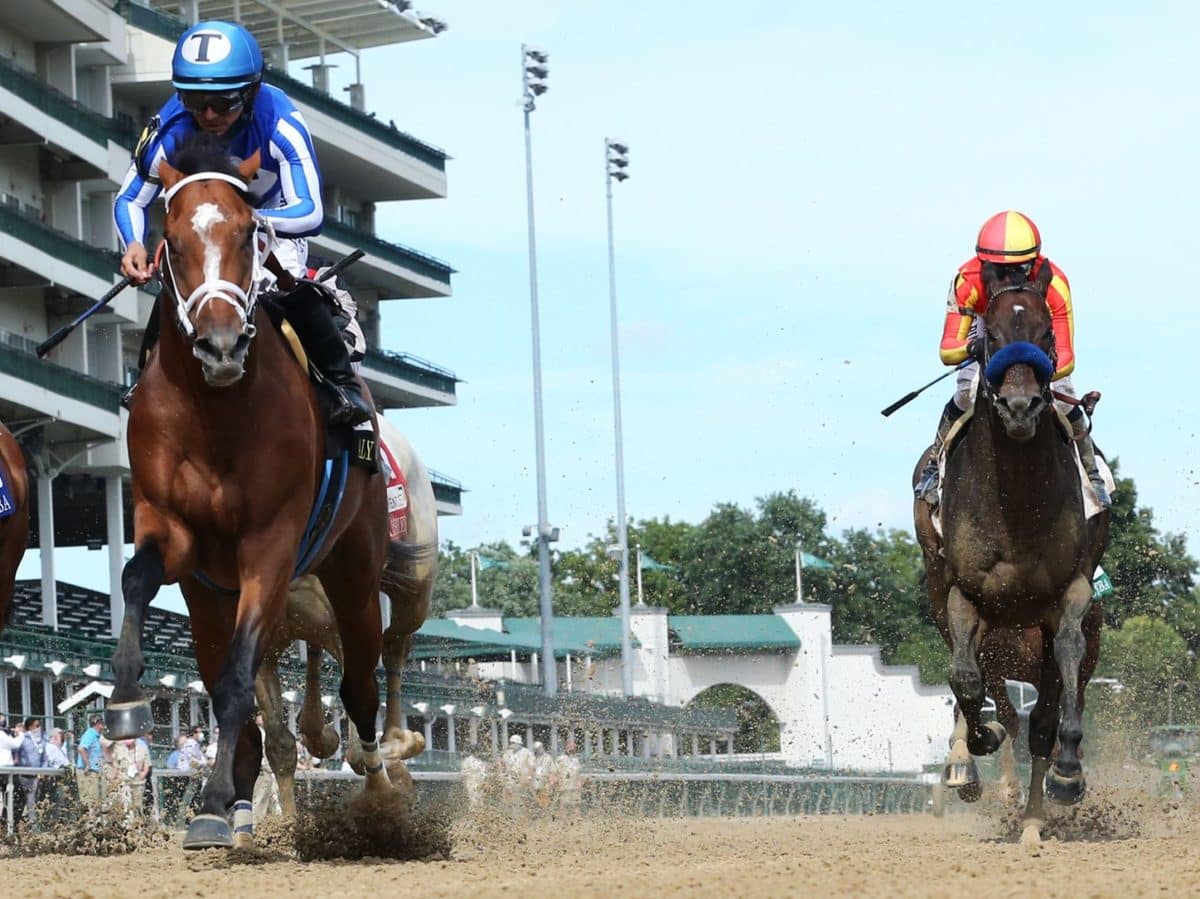 By My Standards | 2020 Alysheba-G2 | Coady photo