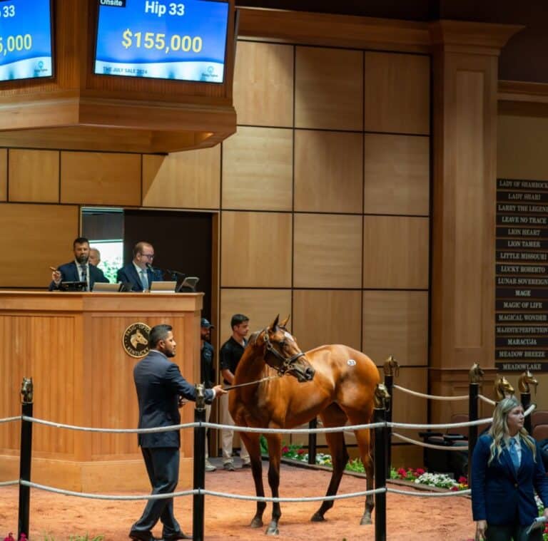 $155,000 at '24 F-T July | Filly o/o Glamour N Glory | Purchased by Ben Gowans, agent | Nicole Finch photo