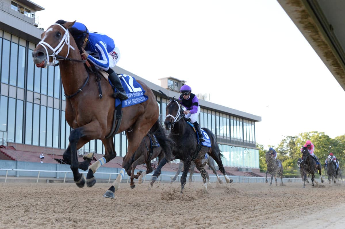 By My Standards | 2020 Oaklawn Handicap G2 | Coady Photography