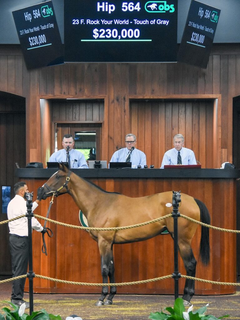 $230,000 filly at '25 OBSAPR | Purchased by Harmash Racing after breezing 9.4 | Judit Seipert photo