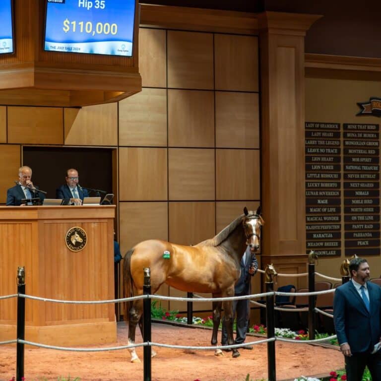 $110,000 at '24 F-T July | Filly o/o Harbor Mist | Purchased by Talla Racing/Kim Lloyd agent | Nicole Finch photo