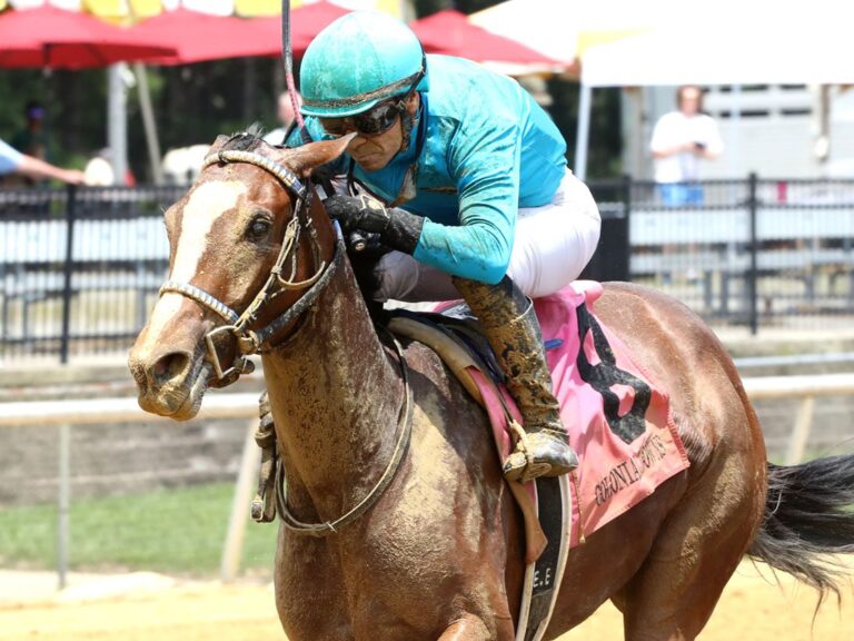 1st Winner: 2yo filly Sugaree impressively wins a MdSpWt on dirt at Colonial Downs | Coady photo