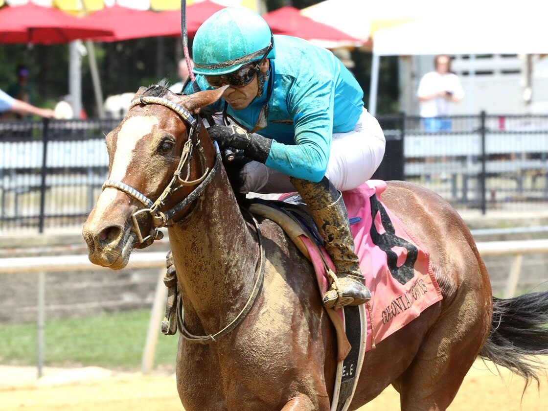 1st Winner: 2yo filly Sugaree impressively wins a MdSpWt on dirt at Colonial Downs | Coady photo