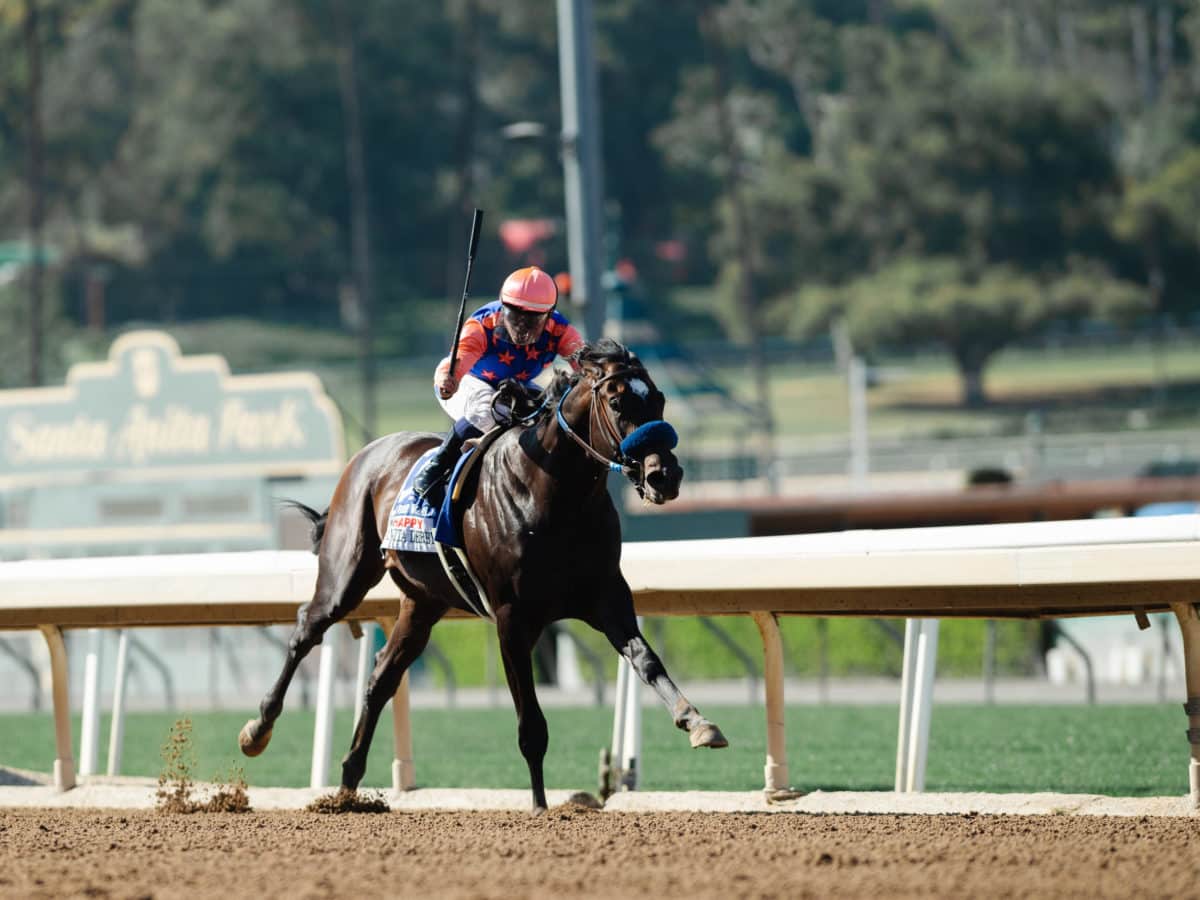 Rock Your World | Santa Anita Derby-G1 2021 | Benoit Photo