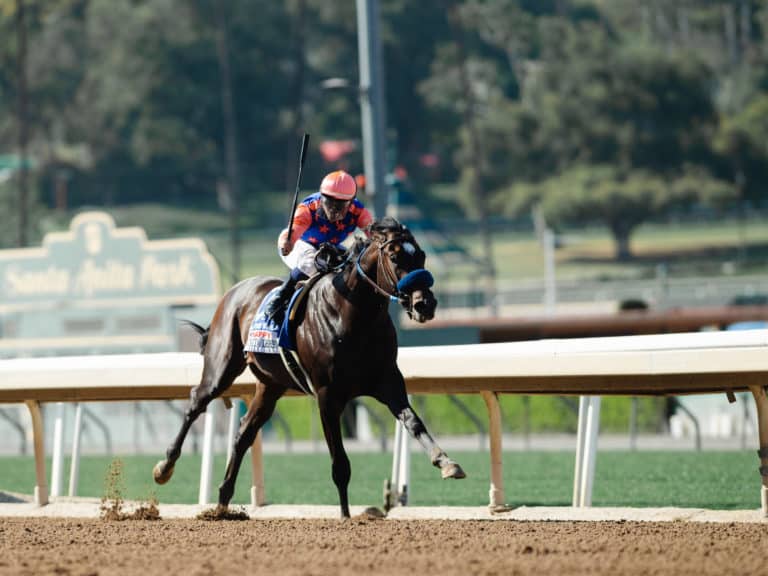 Rock Your World | Santa Anita Derby-G1 2021 | Benoit Photo