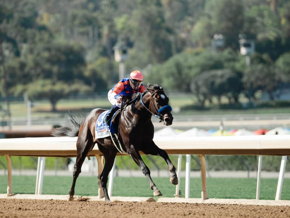 Rock Your World | Santa Anita Derby-G1 2021 | Benoit Photo