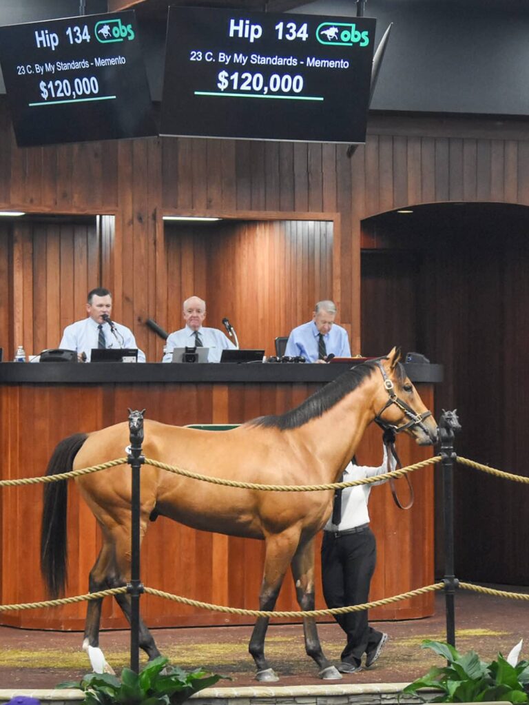 $120,000 at '25 OBSAPR | Colt o/o Memento | Purchased by Ellman, Glassman & Plesa, Plesa Agent | Judit Seipert photo