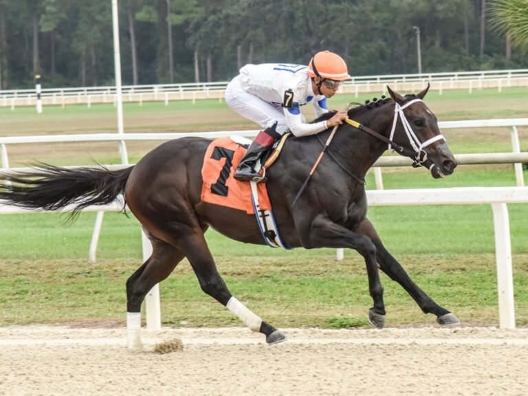 2yo colt Solitude Dude remains undefeated after an 8-length win in the 2025 Inaugural S. at Tampa Bay Downs | SV Photography