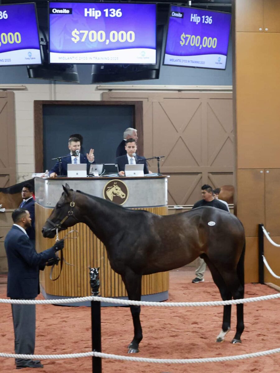 $700,000 at '25 F-T Midlantic | Colt o/o Frosty Margarita | Purchased by Mahmud Mouni | Z photo