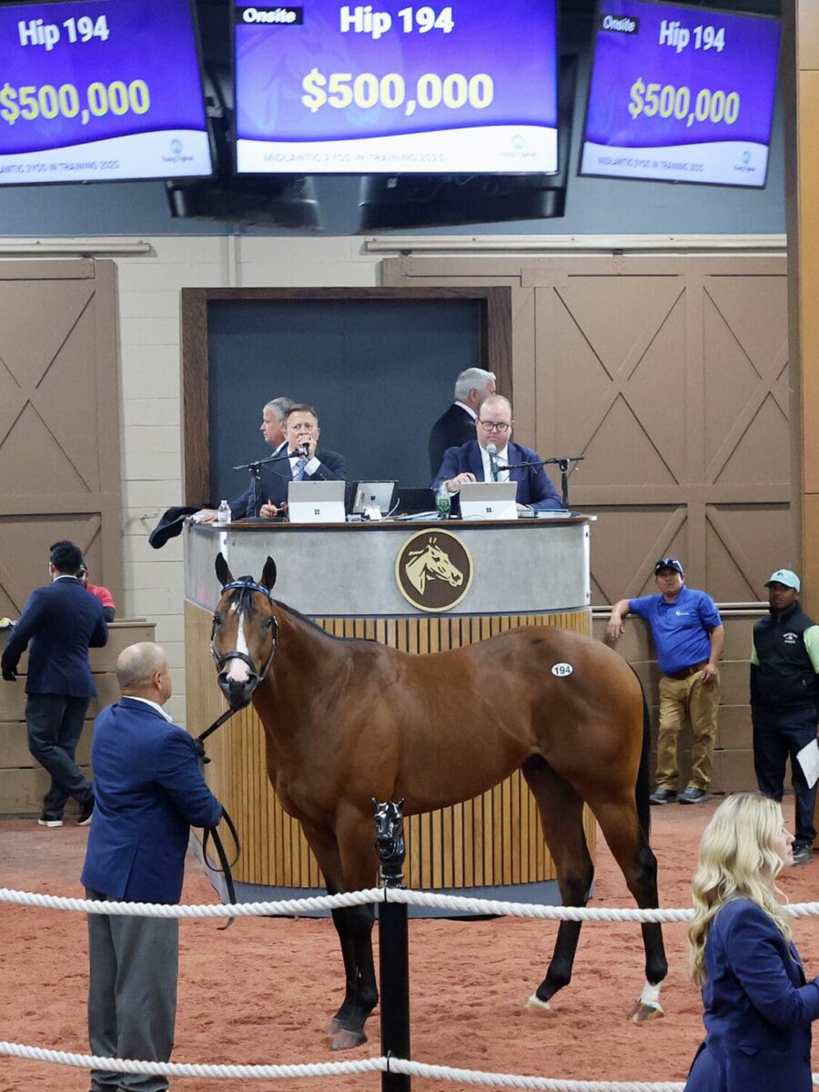 $500,000 at '25 F-T Midlantic | Colt o/o Just Jenda | Purchased by Justin Casse, for M. V. Magnier | Z photo