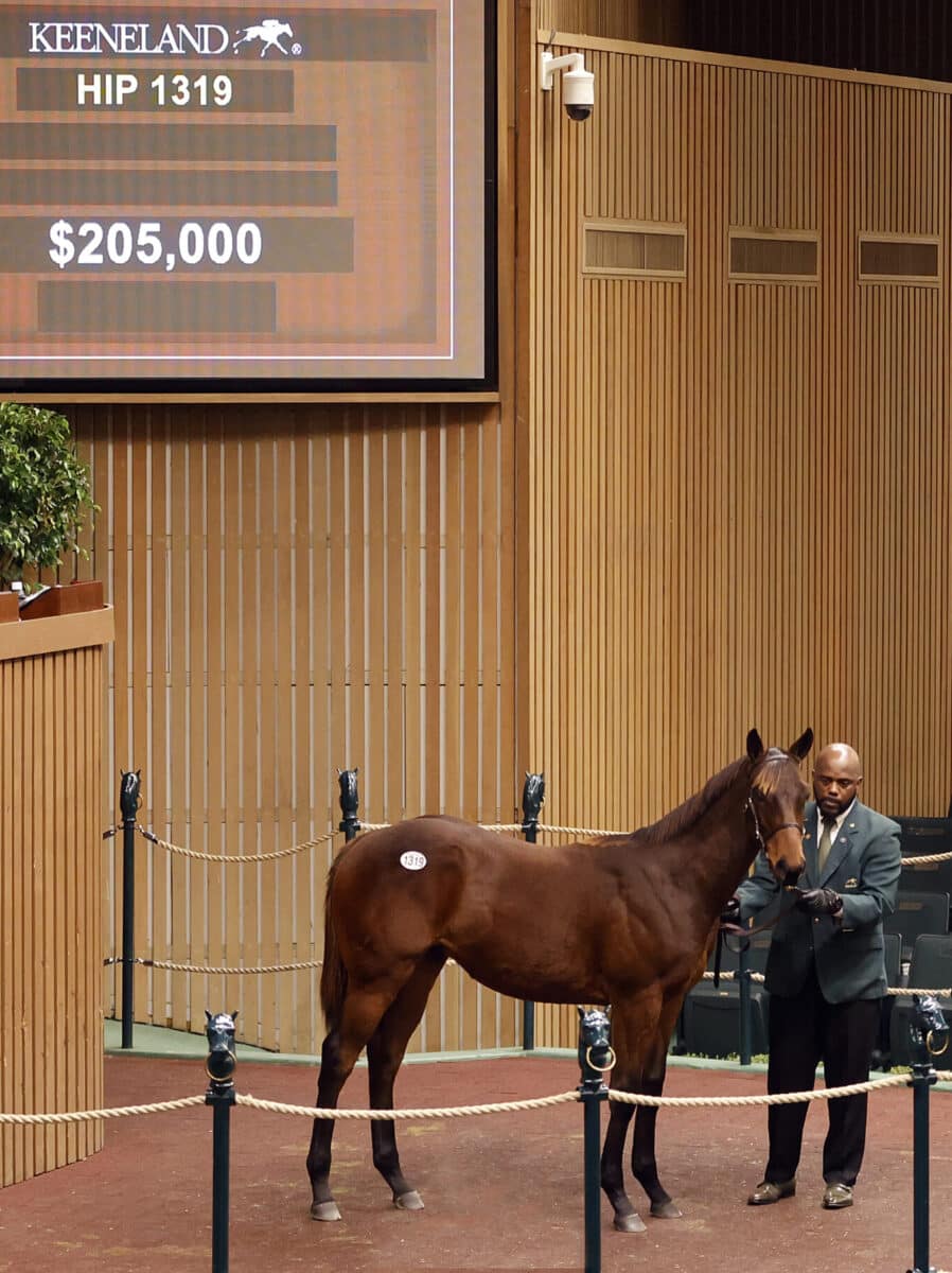 $205,000 at '23 KEENOV | Colt o/o Sunday Driver | Z photo