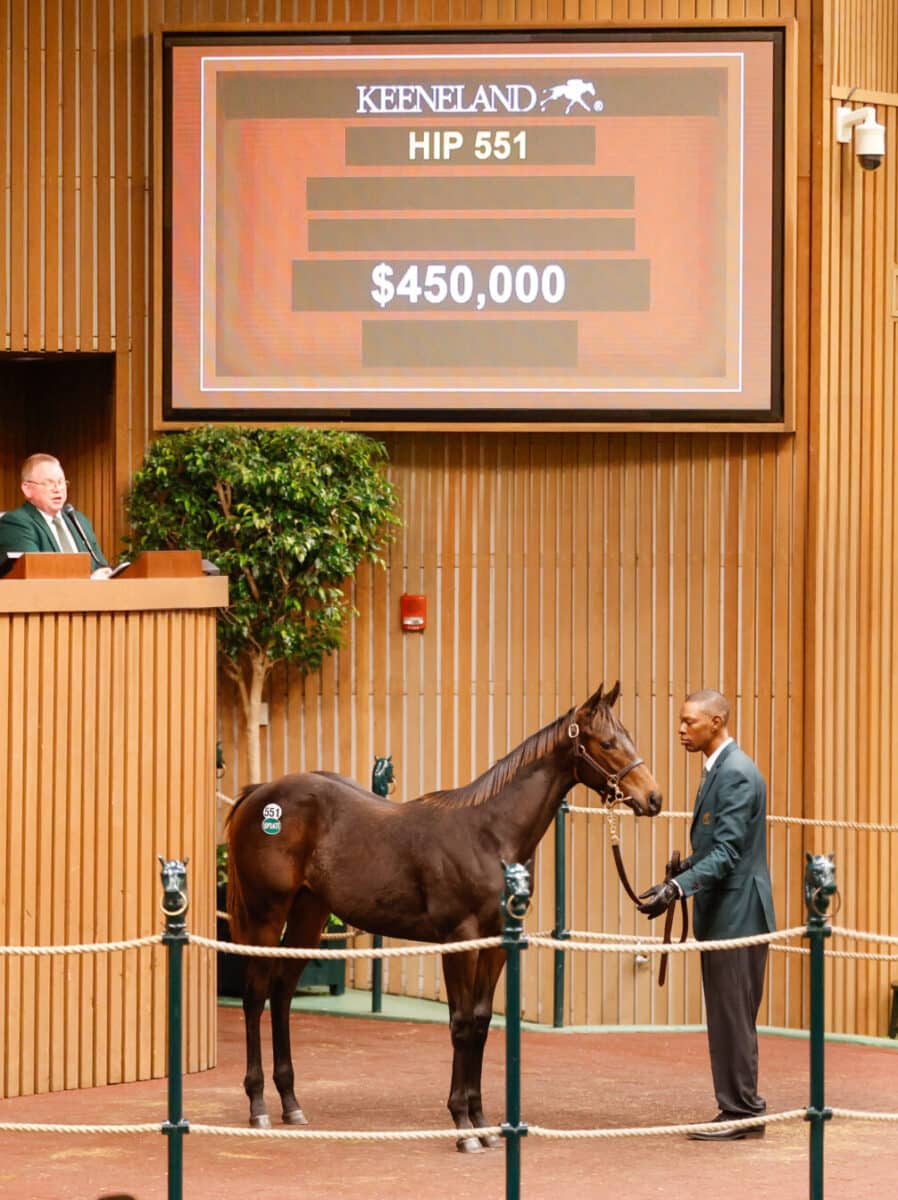 $450,000 at '23 KEENOV | Colt o/o Zetta Z | Nicole photo