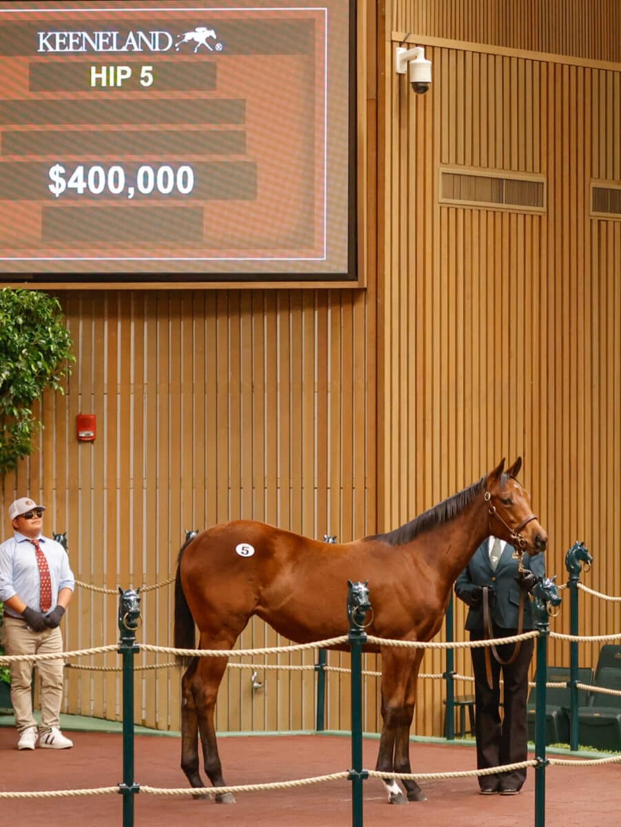 $400,000 at '23 KEENOV | Filly o/o Folklore | Nicole photo