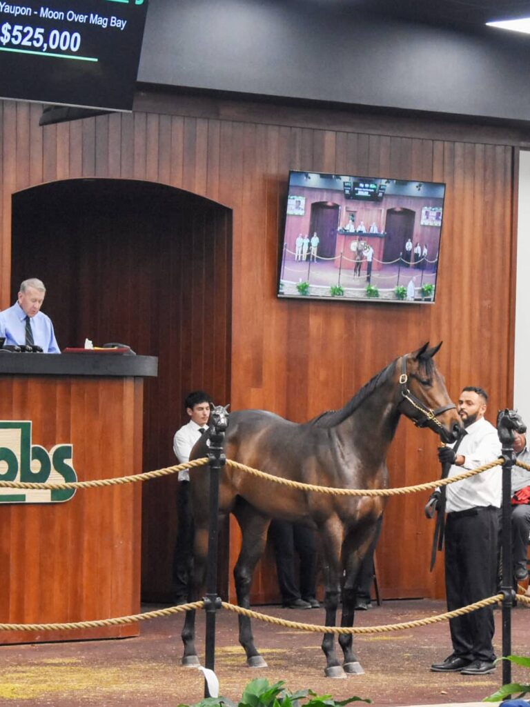 $525,000 at '25 OBSAPR | Filly o/o Moon Over Mag Bay breezed 20.2 | Purchased by Spendthrift Farm | Judit Seipert photo