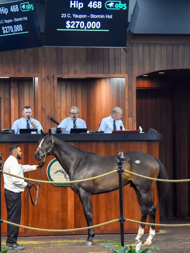 $270,000 at '25 OBSAPR | Colt o/o Stormin Hot | Purchased by Harmash Racing | Judit Seipert photo
