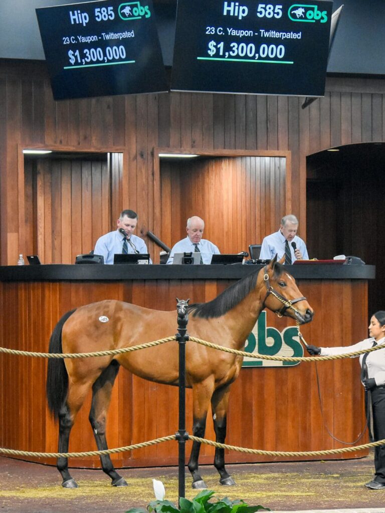 $1,300,000 at '25 OBSAPR | Colt o/o Twitterpated breezed 9.4 | Purchased by K S I | Judit Seipert photo