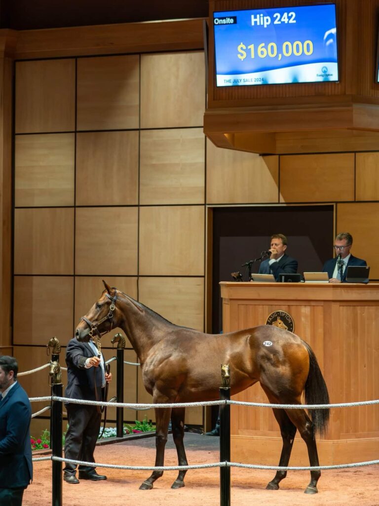$160,000 at '24 F-T July | Filly o/o Showtime Sis | Purchased by Mike & Pat Freeny | Nicole Finch photo