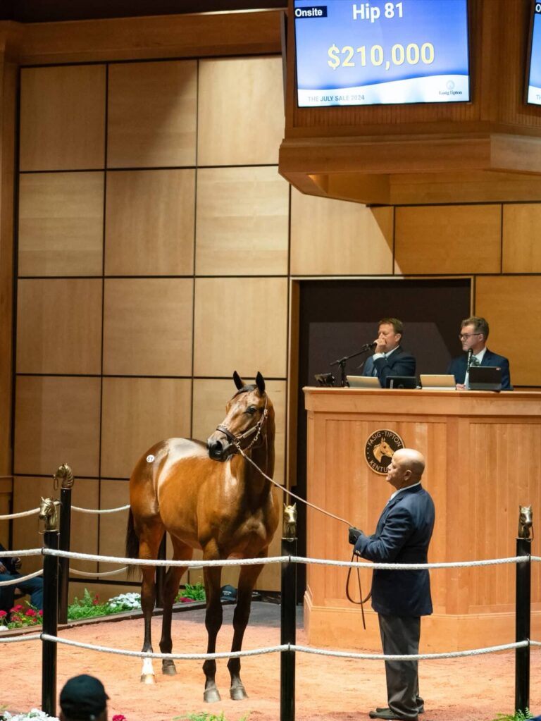 $210,000 at '24 F-T July | Colt o/o Totem Power | Purchased by Spendthrift Farm | Nicole Finch photo