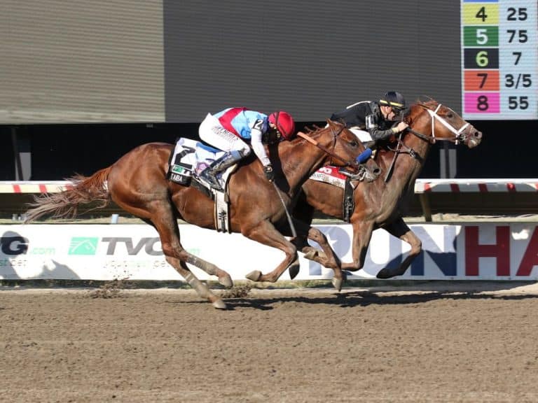 Cyberknife defeats Taiba and two other G1 winners in the Haskell | Bill Denver / EQUIPHOTO