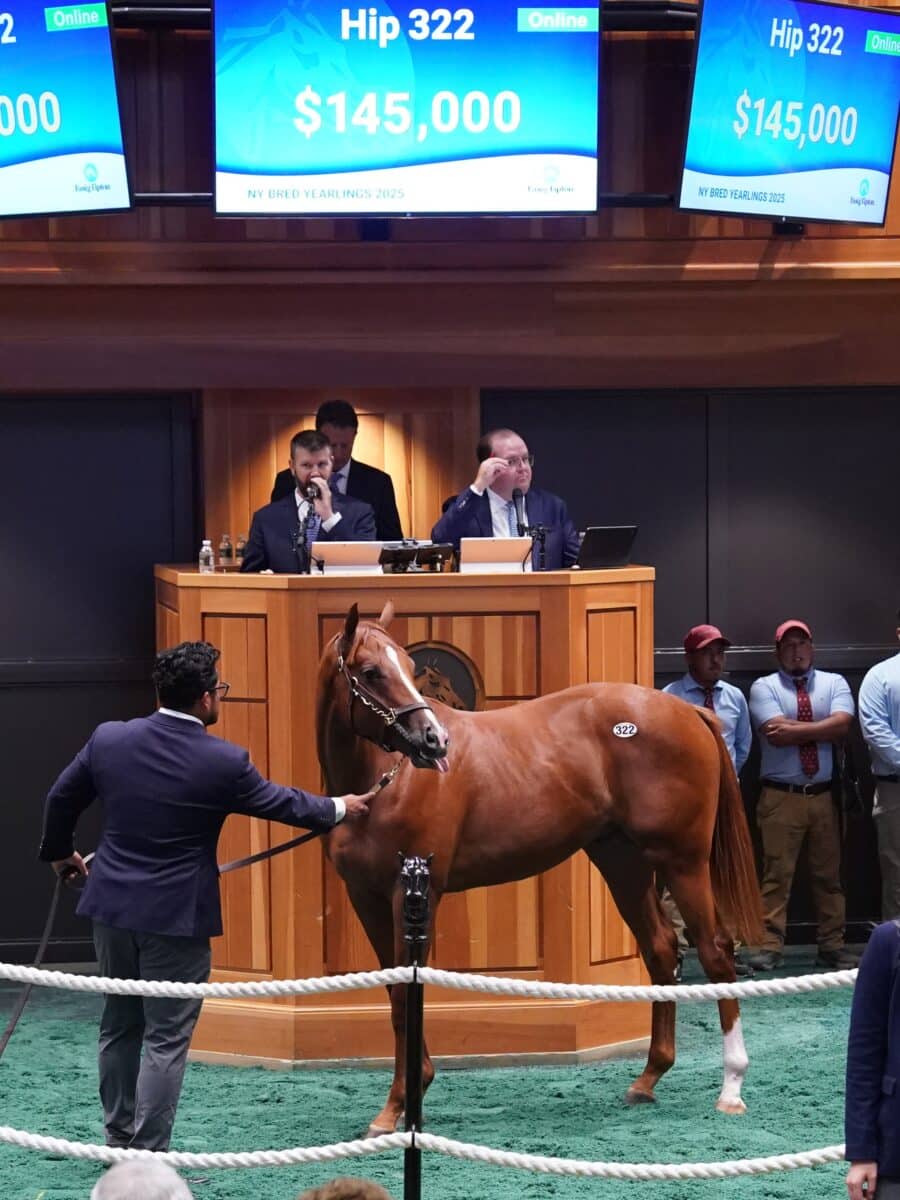 $145,000 at '25 F-T Saratoga | Colt o/o My Favorite Day | Purchased by Maddie Mattmiller, Agent | Z photo