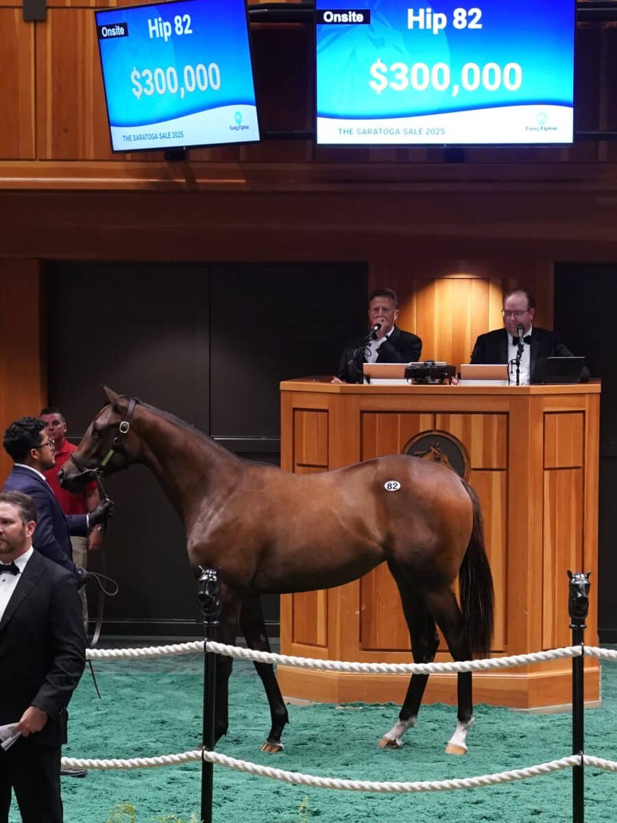 $300,000 at '25 F-T Saratoga | Filly o/o D'fashion | Purchased by Mike Ryan, Agent | Z photo