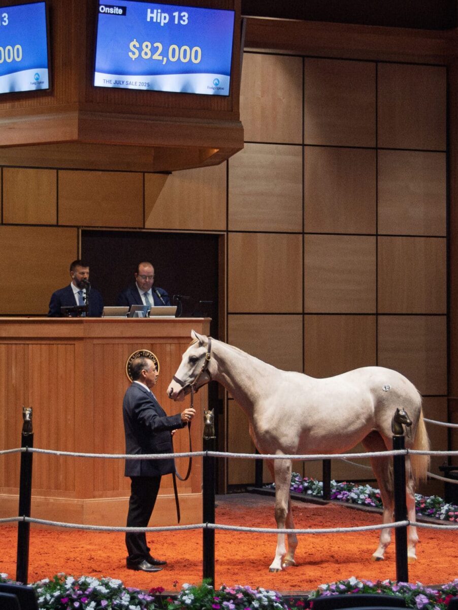 $82,000 at '25 F-T July | Filly o/o Scandalous Song | Purchased by Evergreen Equine, Agt James Schurman | Kendall Wucker photo