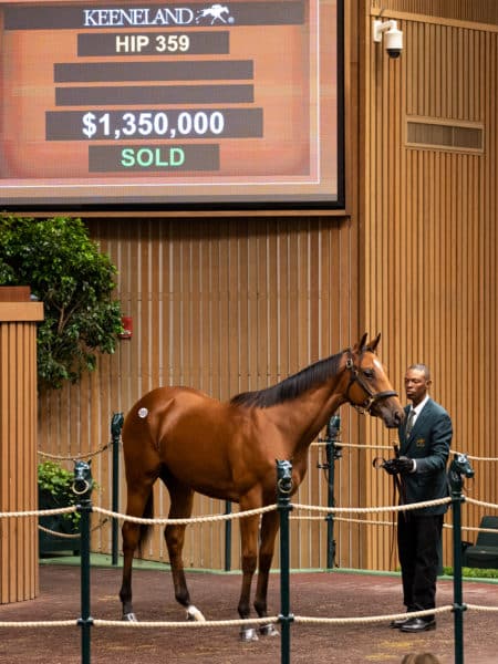 Into Mischief has now sired an industry-high 10 seven-figure yearlings through Book 1 at KEESEP