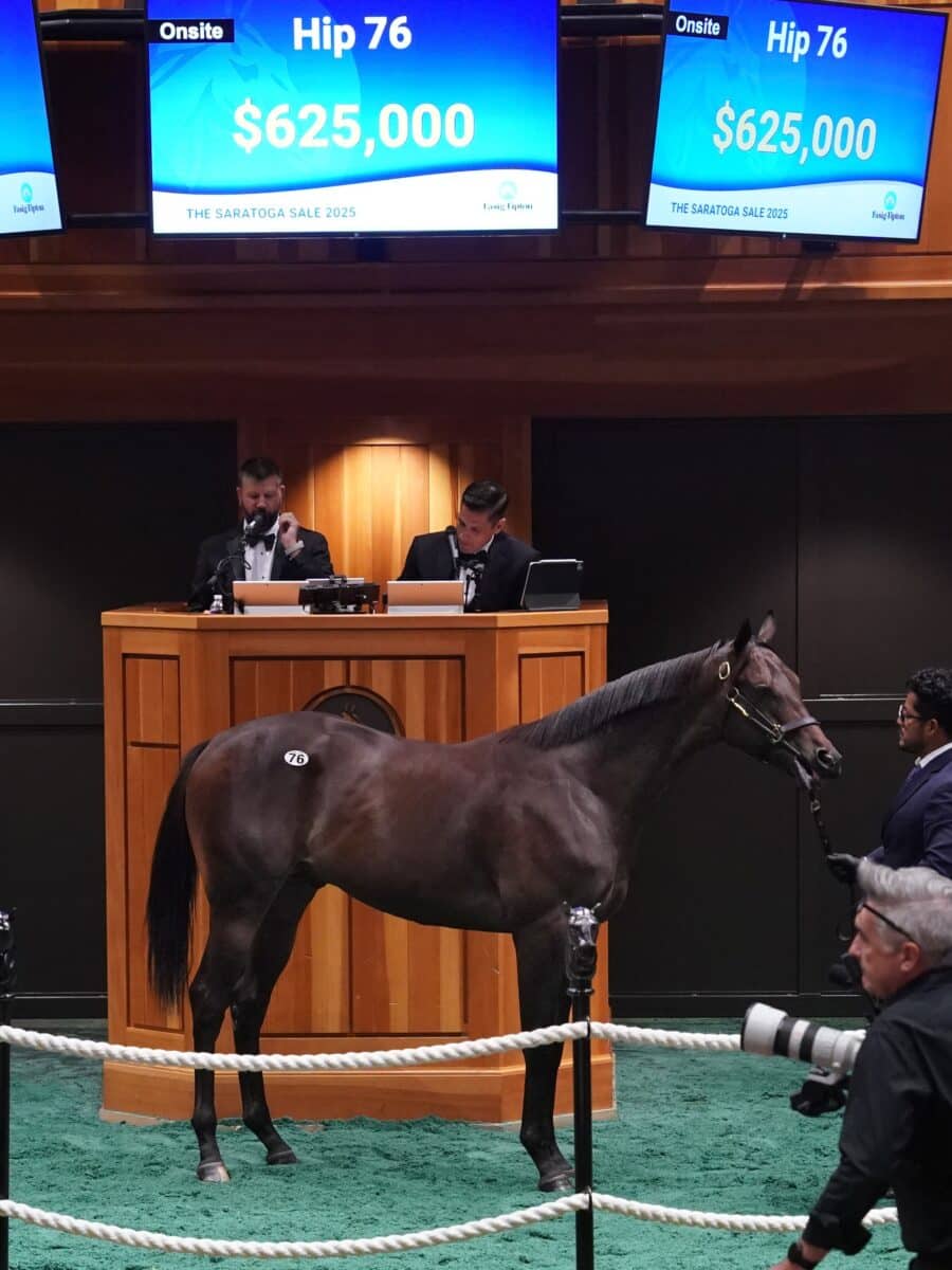 $625,000 at '25 F-T Saratoga | Colt o/o Deherewego | Purchased by Legion Bloodstock, Agent | Z photo