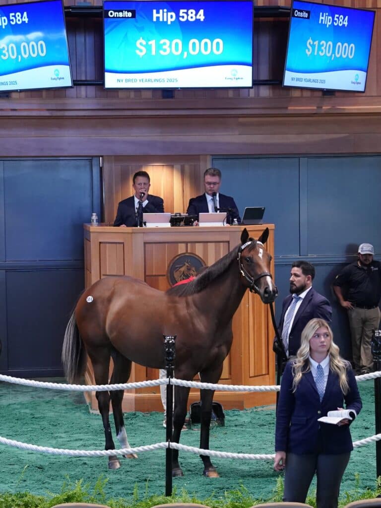 $130,000 at '25 F-T Saratoga | Filly o/o La Casa d'Oro | Purchased by Legion Bloodstock, Agent | Z photo
