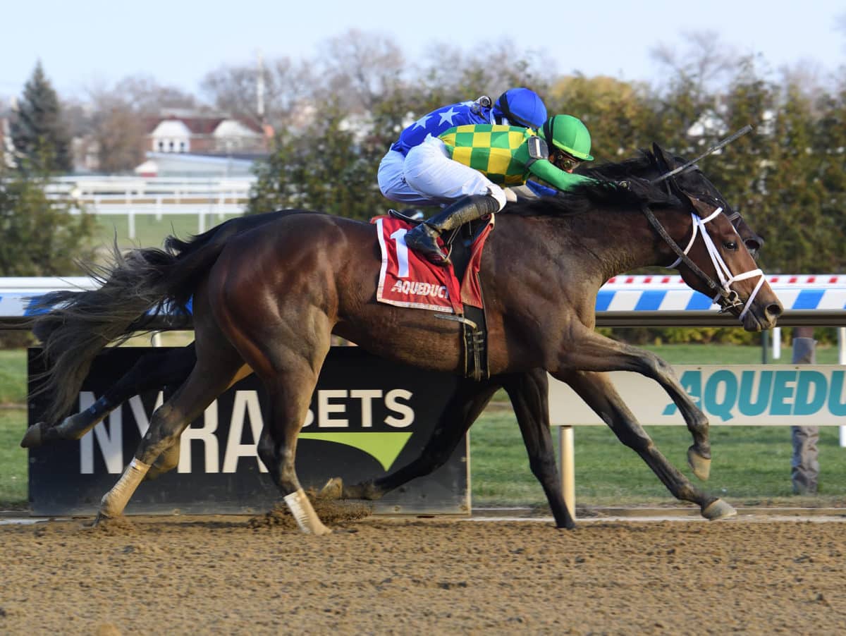 Mo Donegal | 2021 Remsen Stakes-G2, shown defeating Zandon | NYRA photo