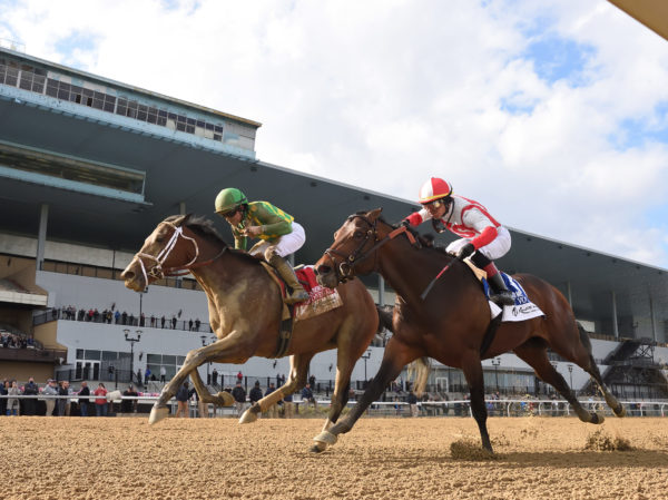 Mo Donegal defeating Preakness winner Early Voting in the Wood Memorial