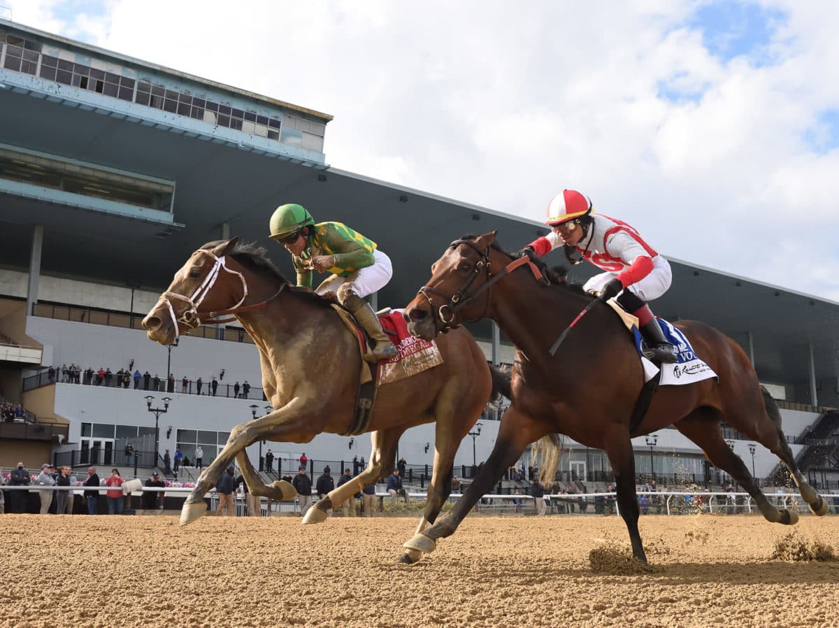 Mo Donegal | 2022 Wood Memorial Stakes-G2, shown defeating Early Voting | NYRA photo