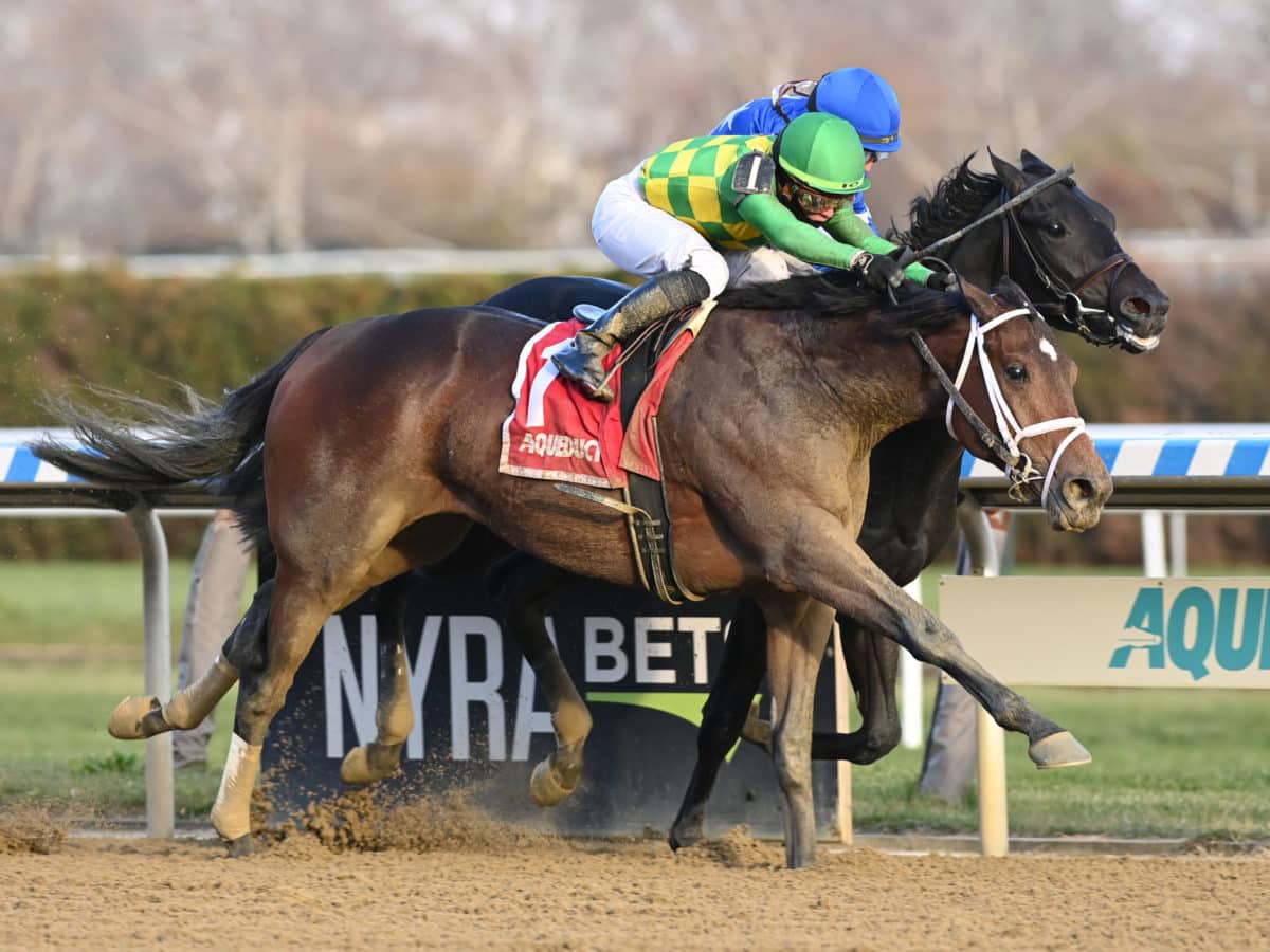 Mo Donegal | 2021 Remsen Stakes-G2, shown defeating Zandon | NYRA photo