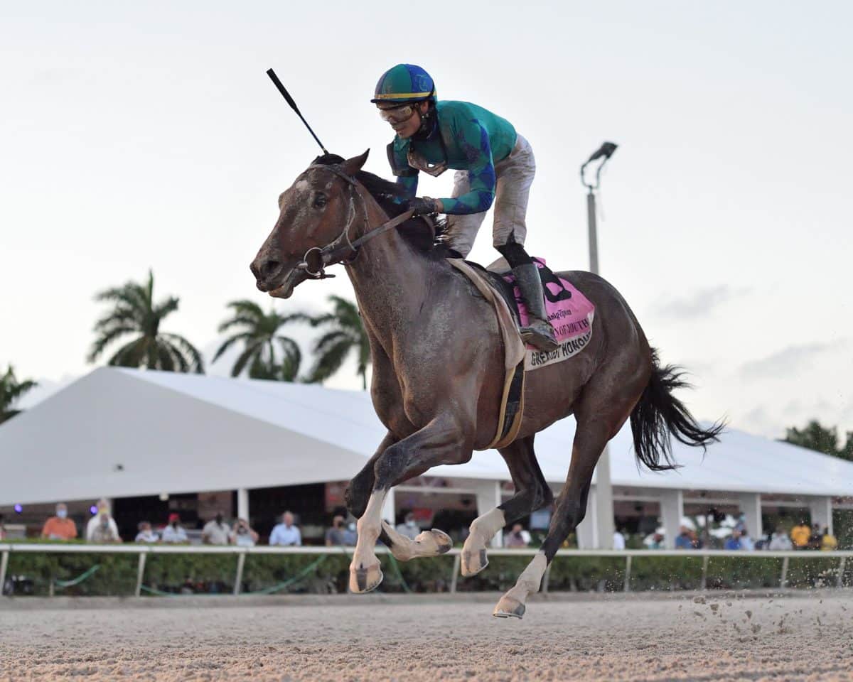 Greatest Honour | 2021 Fountain of Youth-G2 | Coglianese photo