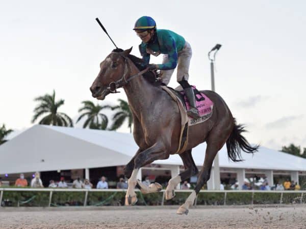 Greatest Honour's 6 3/4 Ragozin made him one of the fastest Kentucky Derby prep race winners in 2021 | Coglianese photo