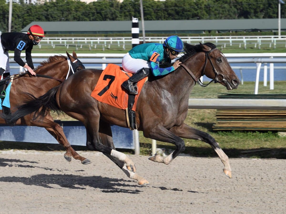 Greatest Honour | Gulfstream MdSpWt at 2 | Coglianese photo