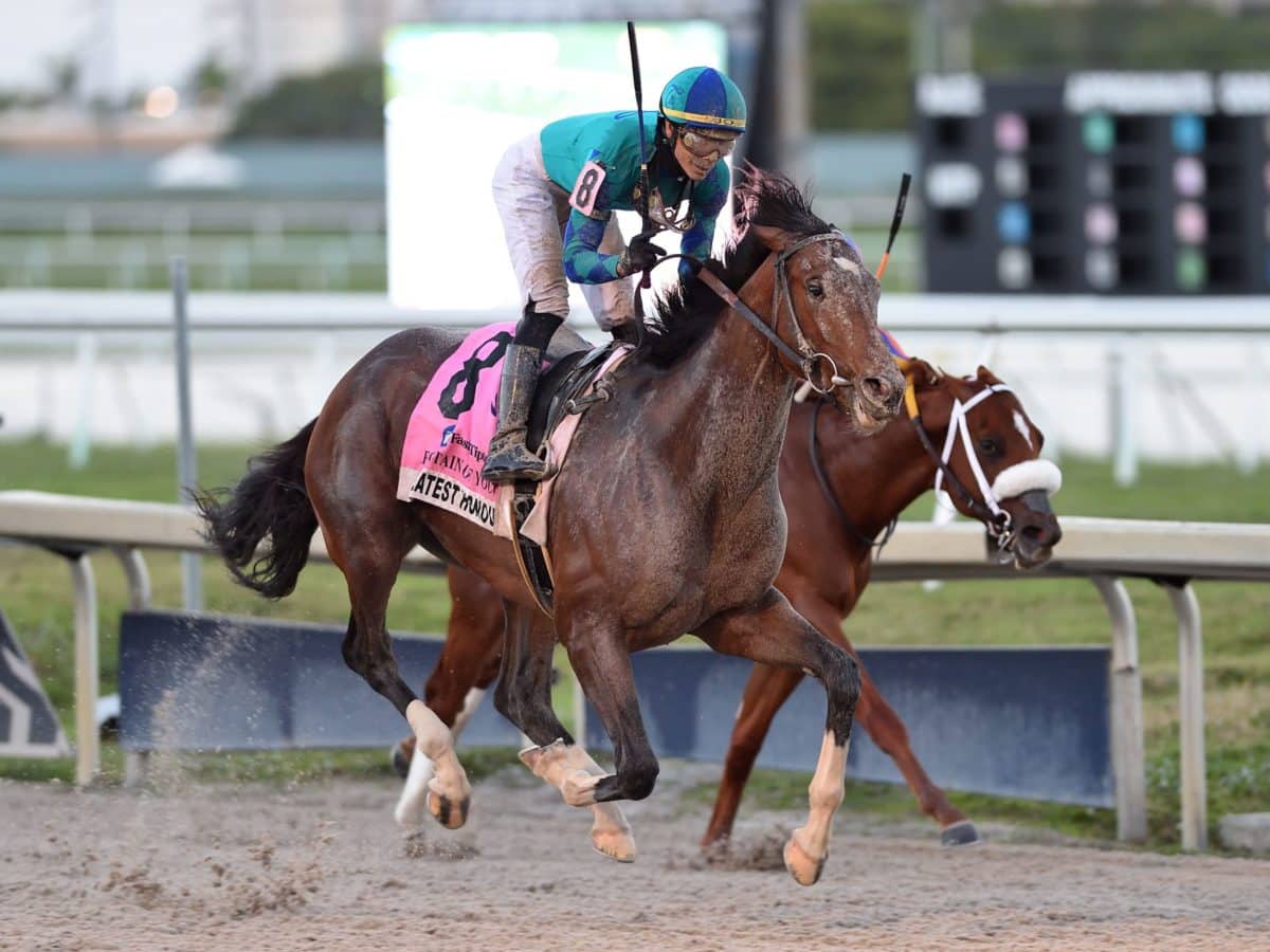 Greatest Honour | 2021 Fountain of Youth-G2 | Coglianese photo