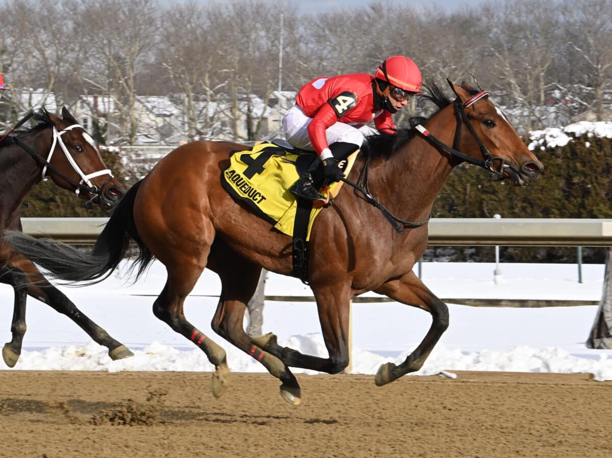 3yo filly Halina's Forte wins the 2024 Ruthless Stakes at Aqueduct | NYRA photo